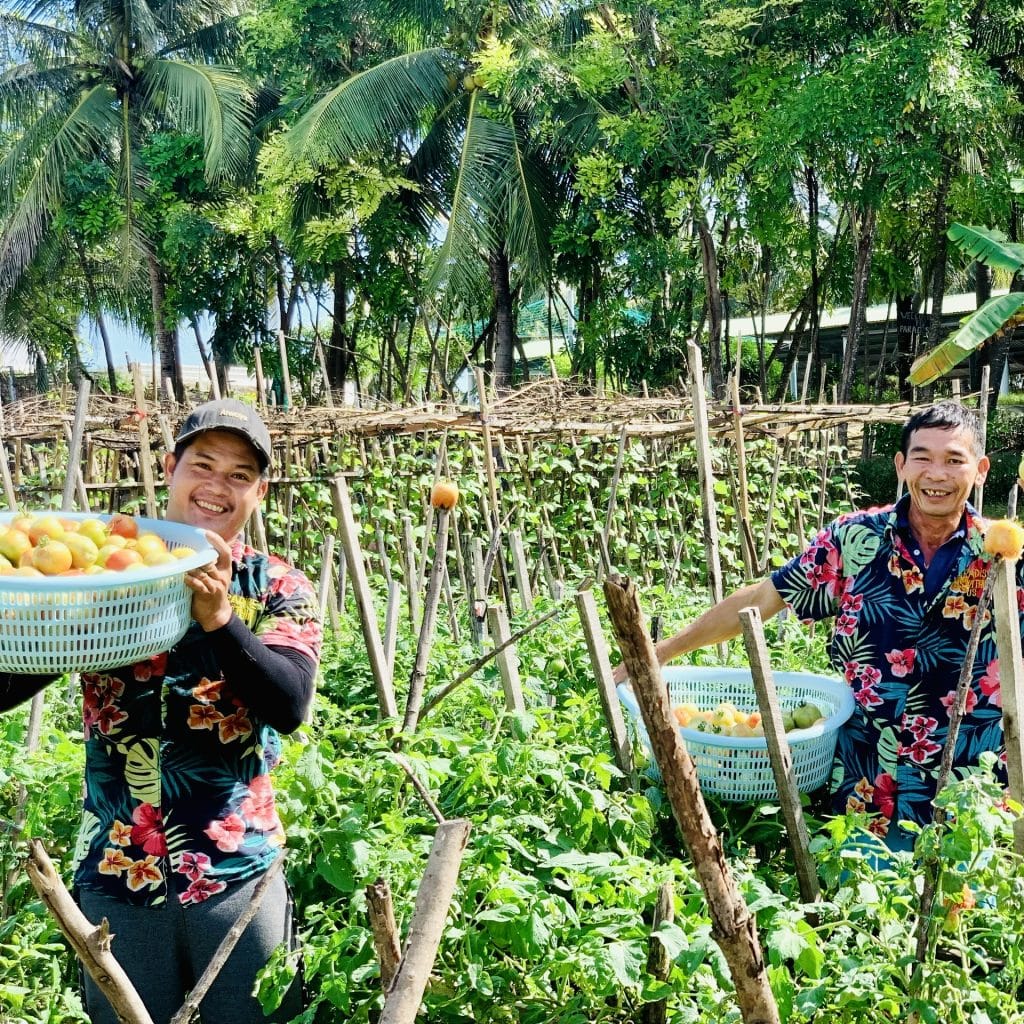 Paradise Garden
