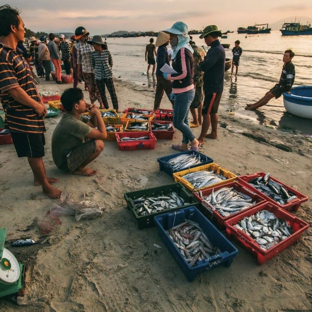 local sea food
