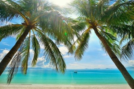 Top 7 Things to Do at Doc Let Beach for a Relaxing Getaway