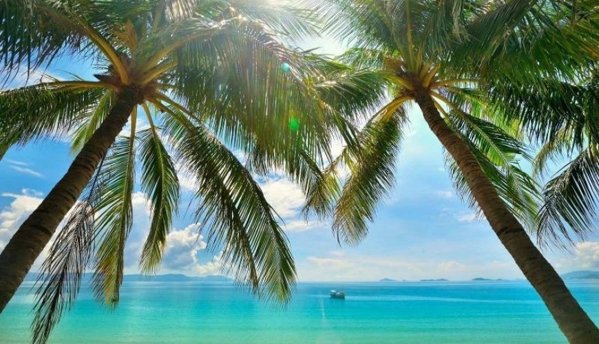 Top 7 Things to Do at Doc Let Beach for a Relaxing Getaway